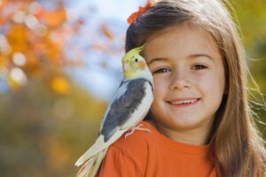 calopsita mansa e menina