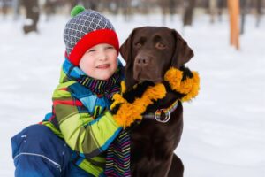 cachorro labrador com menino