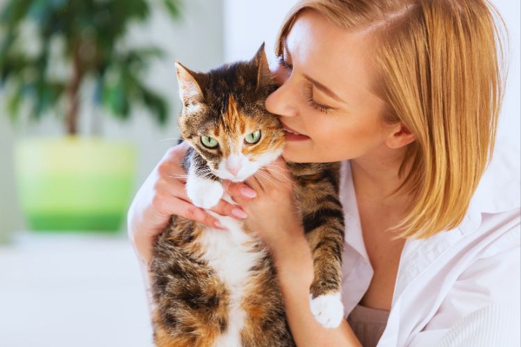 gato recebendo carinho da dona em casa