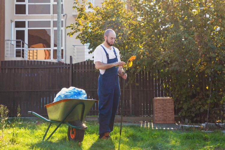homem limpando quintal
