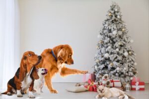 cachorros e gatos junto a árvore de natal