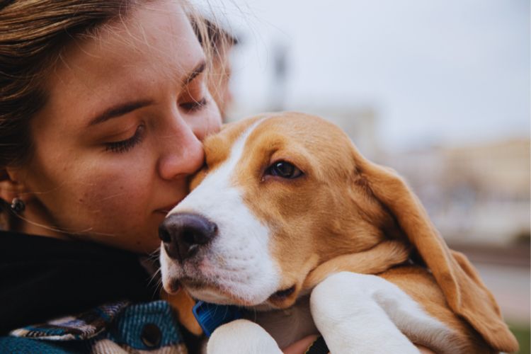 cachorro beagle com sua dona