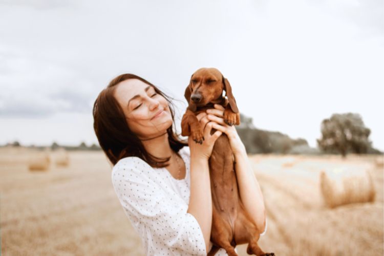 cachorro dachshund com mulher em fazenda