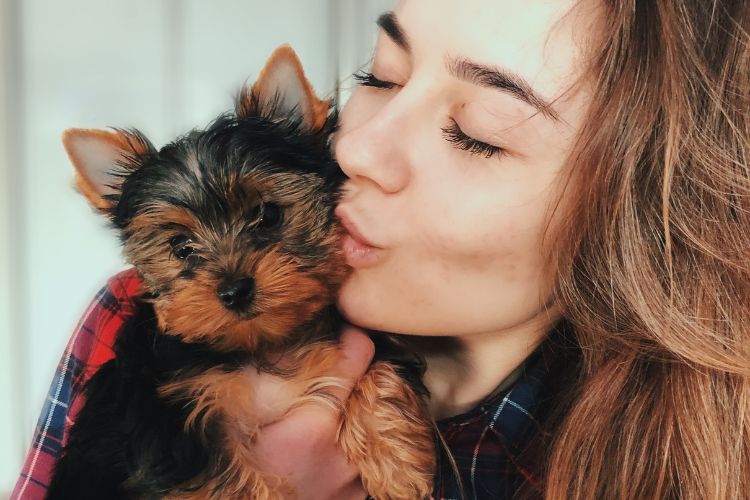 cachorro levando beijo no rosto de sua dona