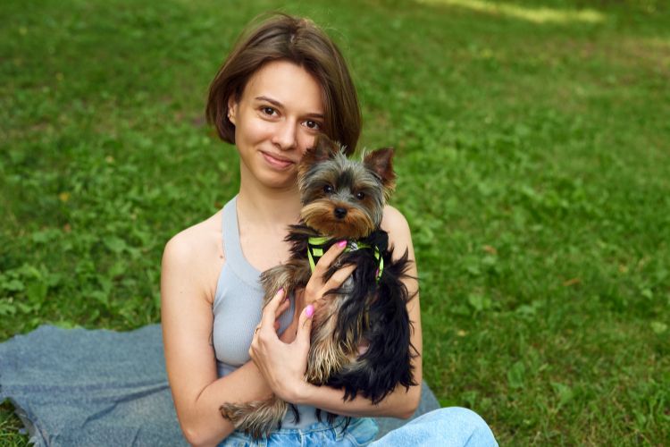 cachorro yorkshire com mulher no gramado