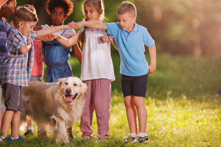 cachorro golden retriever com crianças