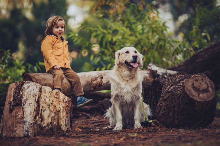cachorro golden retriever com menina perto de tronco de árvore