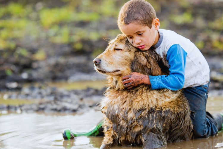 cachorro golden retriever com garoto sujo de lama