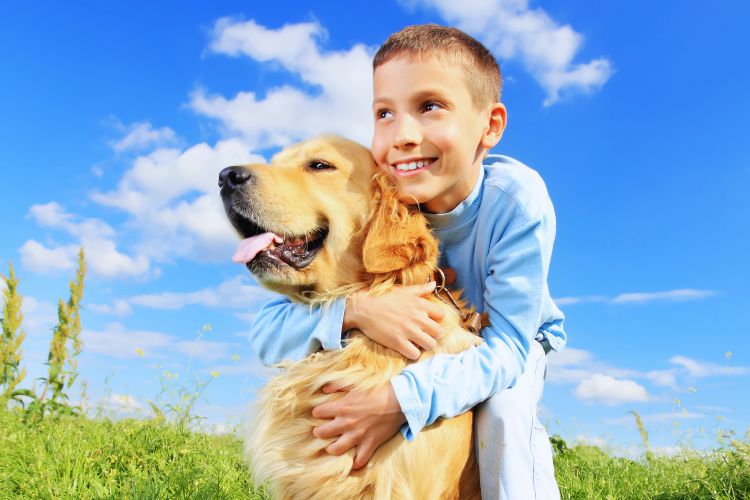 cachorro golden retriever sendo abraçado por menino