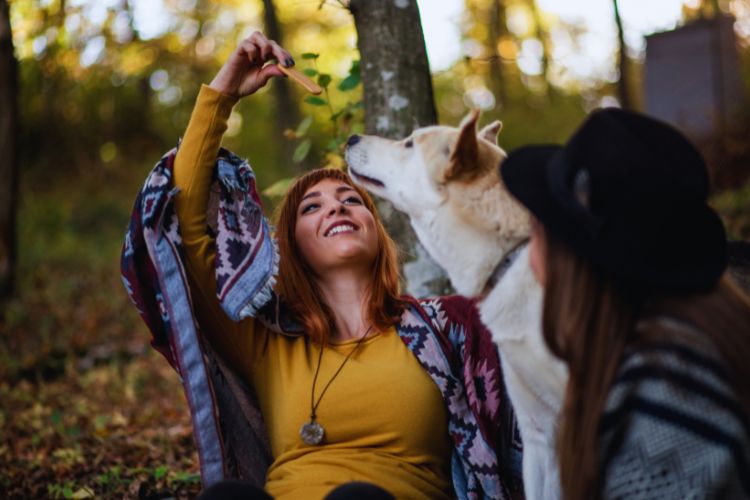 cachorro husky siberiano com duas mulheres