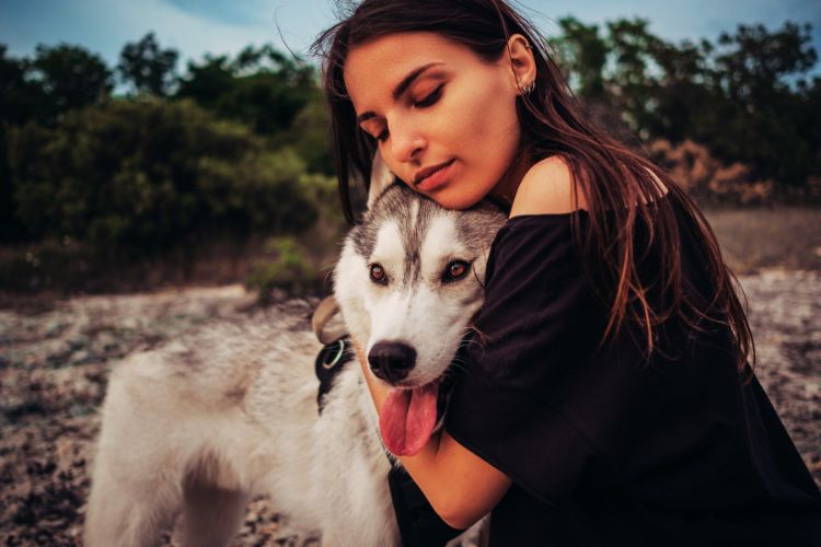 cachorro husky siberiano e mulher juntos