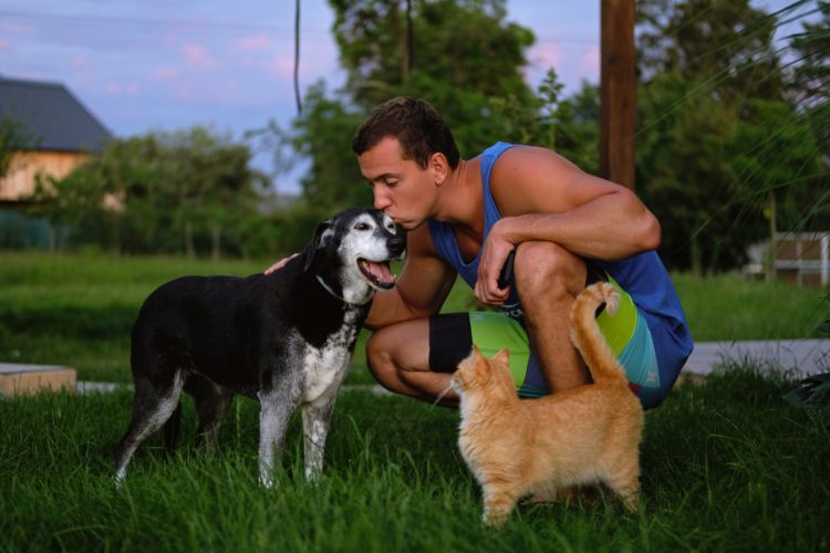 cachorro com gato e homem na grama