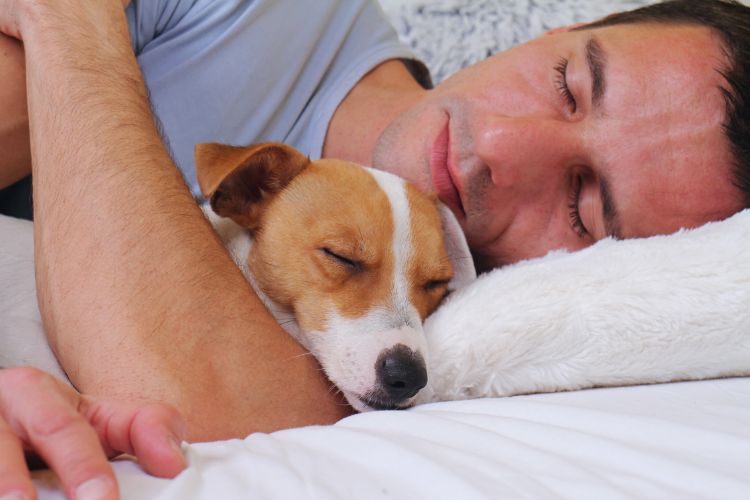 cachorro e homem dormindo na cama