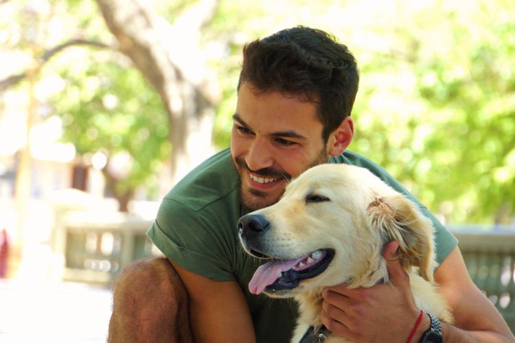 cachorro junto com homem na rua