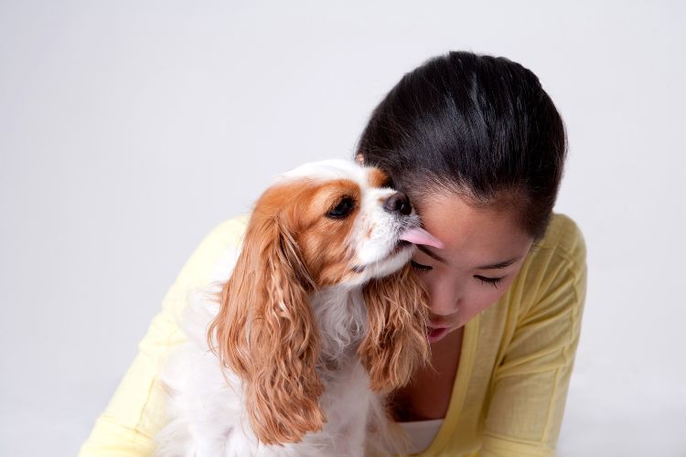 cachorro lambendo o rosto de mulher jovem