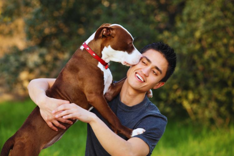 cachorro lambendo bochecha do seu dono