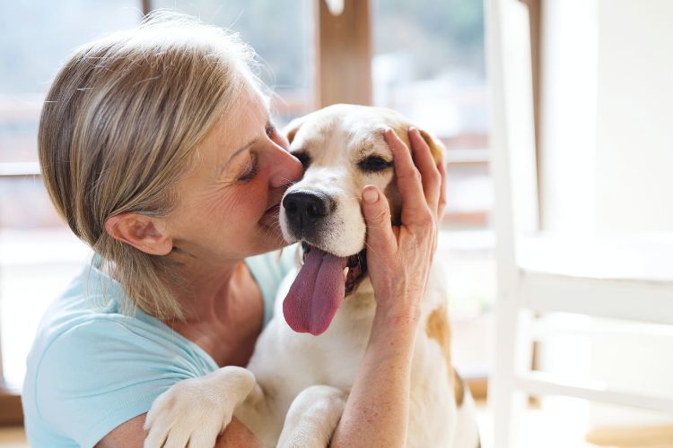 cachorro e mulher juntos em casa