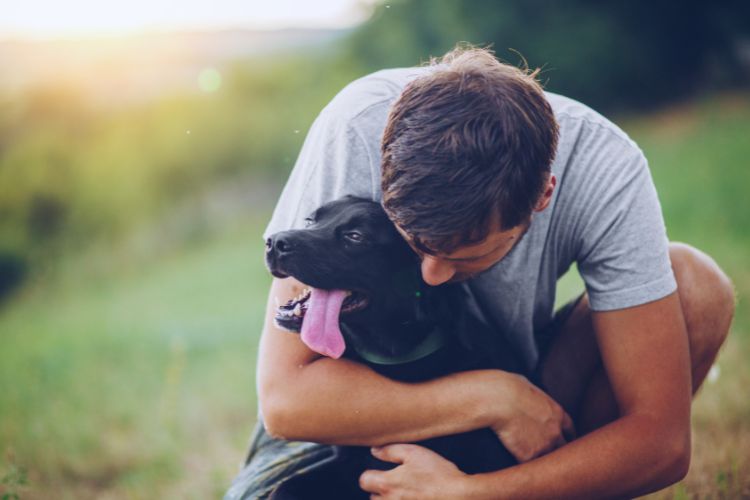 homem abraçando cachorro no campo