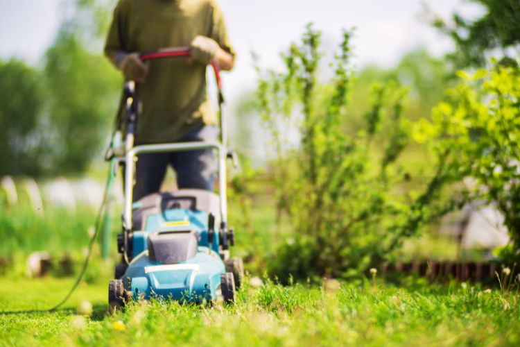 homem aparando seu jardim