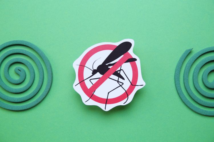 prevenção contra mosquito