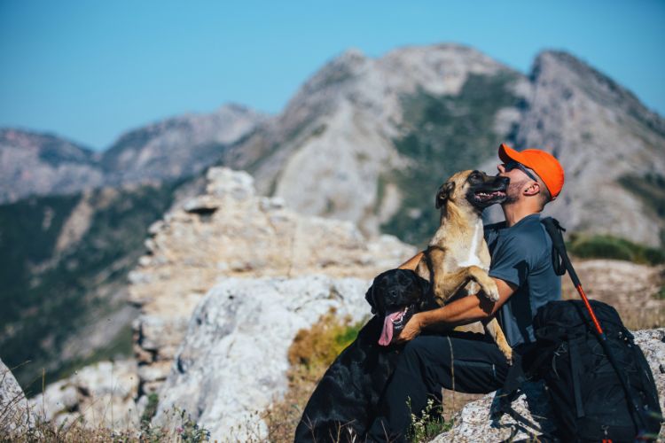 cachorro em dupla com homem na montanha 