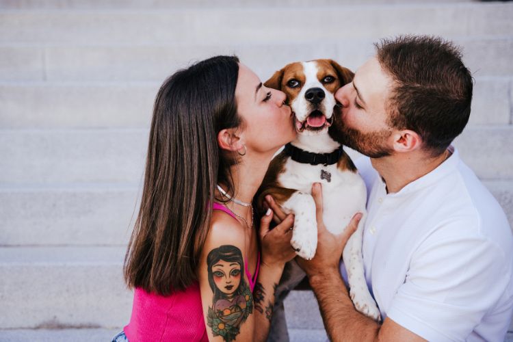 mulher e homem beijando cachorro dentro de casa