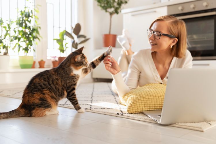 gato e mulher juntos na sala