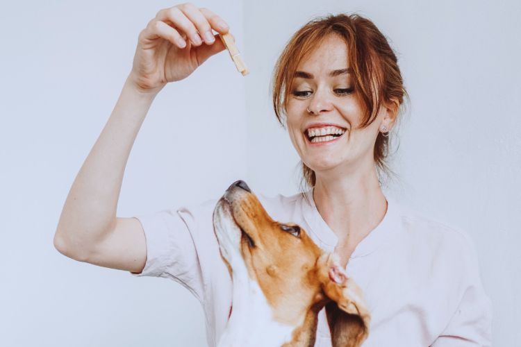 cachorro recebendo petisco de mulher