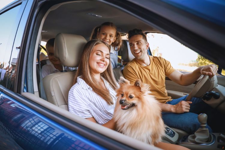 cachorro com sua família dentro do carro 