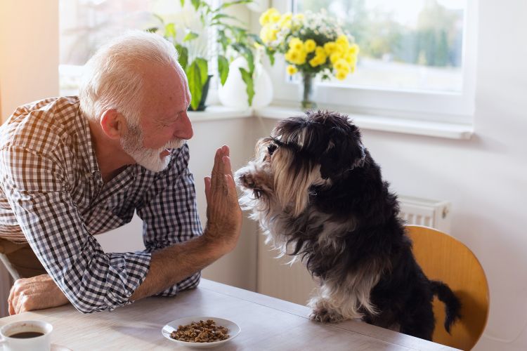 cachorro e homem idoso na mesa