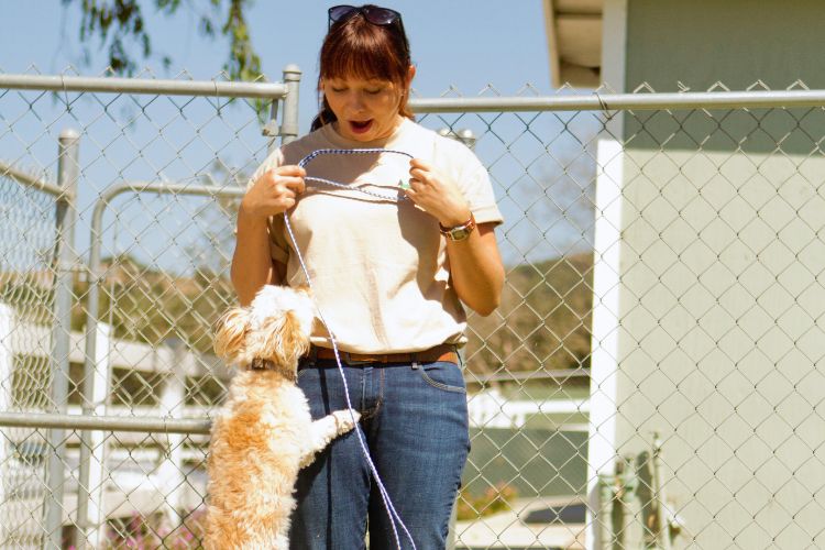 cachorro pulando em cima de mulher 