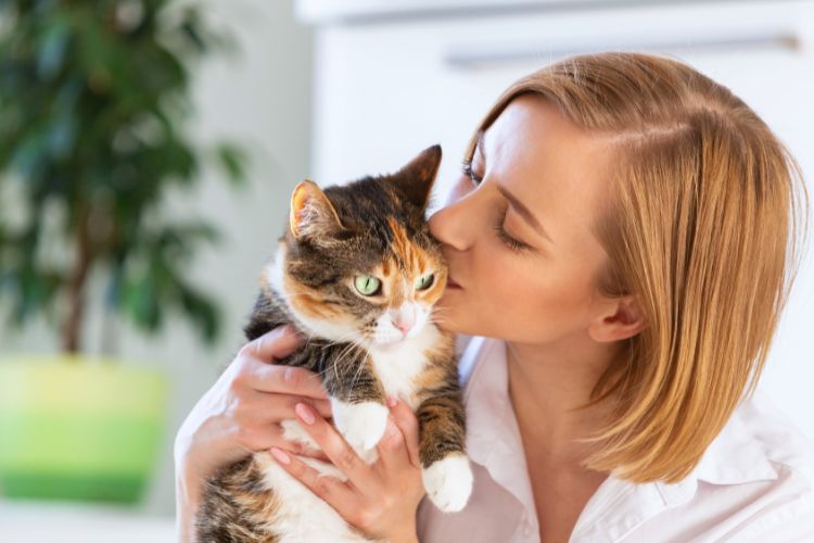 gato recebendo carinho de mulher