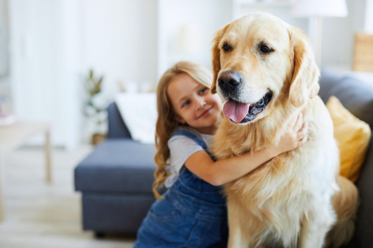 cachorro sendo abraçado por menina na sala