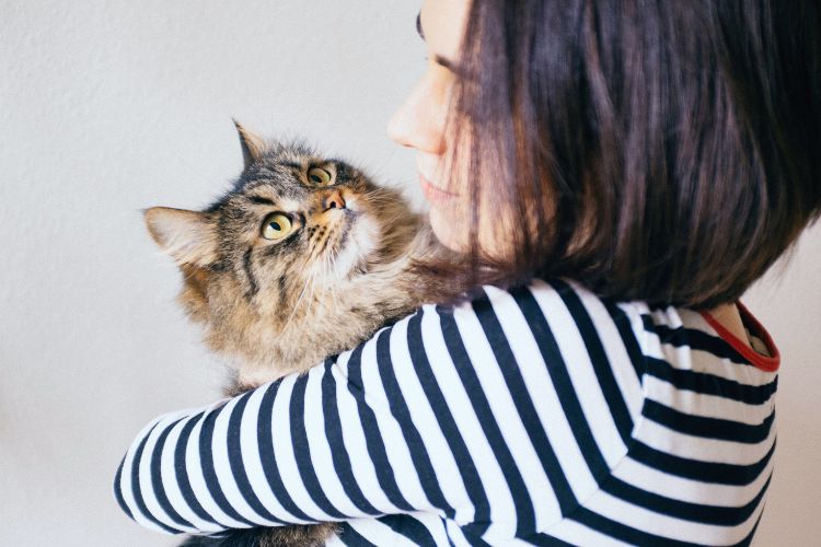 gato sendo abraçado por mulher