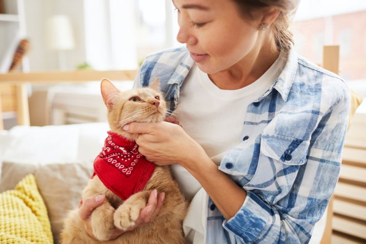 gato com roupa vermelha sendo segurado por mulher