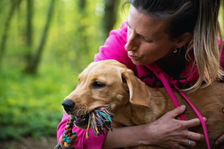 cachorro sendo abraçado por mulher